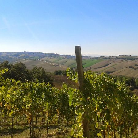 Agriturismo Le Vigne Fermo Dış mekan fotoğraf