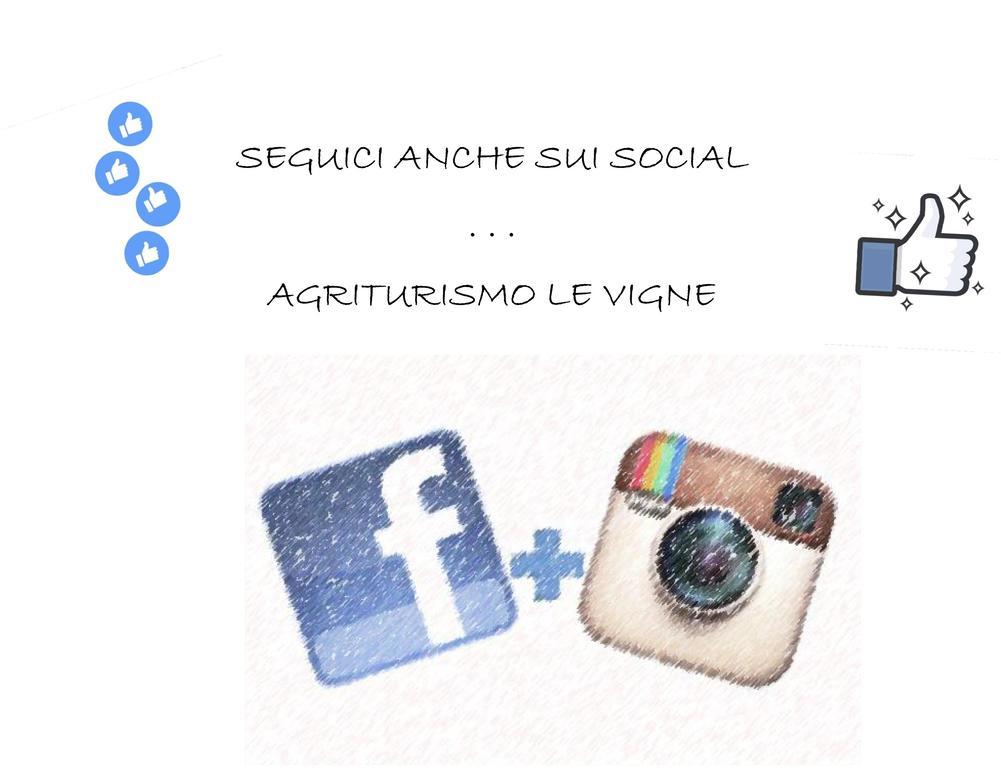 Agriturismo Le Vigne Fermo Dış mekan fotoğraf