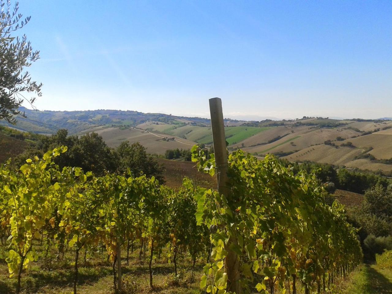 Agriturismo Le Vigne Fermo Dış mekan fotoğraf